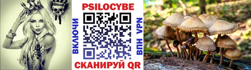 Галлюциногенные грибы Psilocybine cubensis  где можно купить наркотик  darknet Telegram  Духовщина 